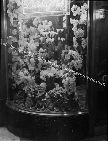 FLOWER SHOP WINDOW